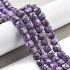 Dyed Natural Sesame Jasper Imitation Charoite Beads Strands G-C179-B01-01-2