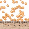 6/0 Glass Seed Beads SEED-L011-08A-19-4