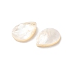 Natural White Shell Beads SSHEL-F305-01A-2