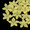Translucent Acrylic Beads FACR-5335-7-1