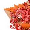 Dried Flower DIY-B018-06-2