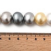 Shell Pearl Beads Strands BSHE-F013-01J-4