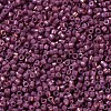 MIYUKI Delica Beads SEED-X0054-DB1016-3