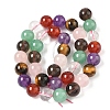 Natural Mixed Gemstone Beads Strands G-P574-A02-10mm-3