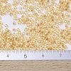 MIYUKI Delica Beads X-SEED-J020-DB0100-4