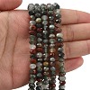 Natural African Bloodstone Beads Strands G-D344-A01-2