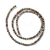 Natural Leopard Skin Jasper Beads Strands G-K365-C01-01-3