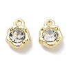 Rack Plating Alloy Rhinestone Charms PALLOY-F311-17G-01-1