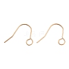 304 Stainless Steel Earring Hooks STAS-B047-31RG-1