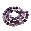 Natural Amethyst Beads Strands G-N371-10A-04-3