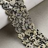 Natural Dalmatian Jasper Beads Strands X-G-M403-A31-03-1
