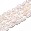 Natural Cultured Freshwater Pearl Beads Strands PEAR-N014-04H-2