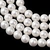 Round Shell Pearl Bead Strands BSHE-L011-4mm-A013A-3