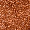 Baking Paint Glass Seed Beads SEED-L011-09A-25-3