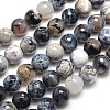 Dyed Natural Agate Faceted Round Beads Strands G-E269-06-1