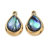 Natural Paua Shell Pendants STAS-G397-22G-02-1