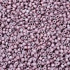 MIYUKI Delica Beads Small X-SEED-J020-DBS0379-3