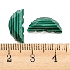 Natural Malachite Butterfly Wing Cabochons G-D078-02B-3