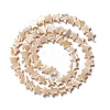 Natural Trochid Shell/Trochus Shell Beads SSHEL-O001-25B-01-1