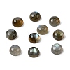 Natural Labradorite Cabochons G-D804-02-2