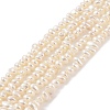 Electroplated Shell Pearl Beads Strands BSHE-C006-06B-1