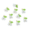 Transparent Acrylic Pendants PALLOY-YW00081-01-1