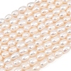 Natural Cultured Freshwater Pearl Beads Strands PEAR-F020-21-2