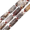 Natural Mexican Crazy Lace Agate Beads Strands G-B196-C01-01-2