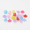 Mixed Transparent Flower Frosted Acrylic Beads X-FACR-R013-M-2