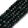 Natural Moss Agate Beads Strands G-P587-D09-01-2