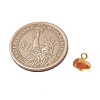 Natural Amber Chip Charms PALLOY-JF05061-3