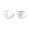 Natural White Shell Beads SSHEL-N032-53-4