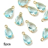 5Pcs Transparent Glass Charms GLAA-YW0004-41E-1