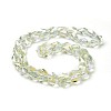 Electroplate Glass Beads Strands EGLA-F147-FR04-B-2