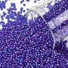 TOHO Round Seed Beads SEED-JPTR15-0087F-1