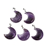 Natural Amethyst Pendants G-Z022-04C-01-1