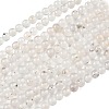 Natural Dendritic Agate Beads Strands G-C011-4mm-01-2