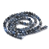 Natural Kyanite/Cyanite/Disthene Beads Strands G-L651-C02-4mm-3