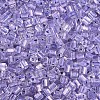Transparent Inside Colours Glass Seed Beads SEED-T007-13I-2