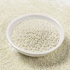 MIYUKI Round Rocailles Beads SEED-JP0010-RR0421-2