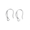 Tarnish Resistant 304 Stainless Steel Earring Hooks LS-STAS-S057-60-1