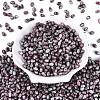 Picasso Glass Seed Beads SEED-N012-10M-2