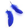 Goose Feather Costume Accessories FIND-Q044-07-2