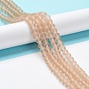 Transparent Glass Beads Strands EGLA-A044-T8mm-MD20-2