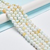 Glass Round Beads Strands GLAA-M044-01D-2