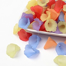 Mixed Transparent Acrylic Flower Beads X-PL551M