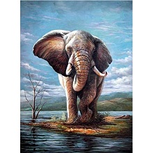 5D DIY Diamond Painting Animals Canvas Kits DIY-C004-08