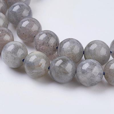 Natural Labradorite Beads Strands X-G-G212-8mm-23-1