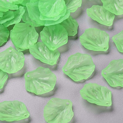 Transparent Frosted Acrylic Pendants MACR-S371-01A-733-1