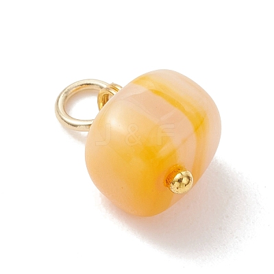 Natural Agate Pendants PALLOY-JF05214-1